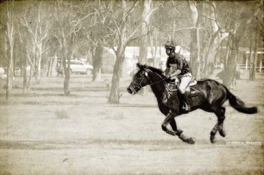 Eventing: History, Competition Courses