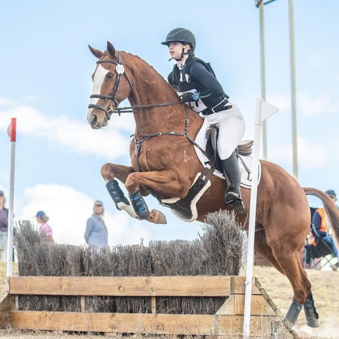 Flashy Eventing Prospect 