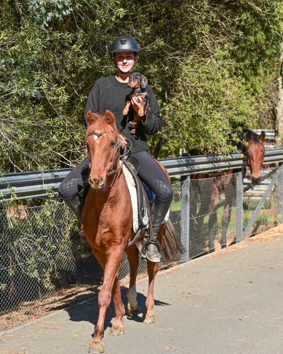 Allrounder kids pony 