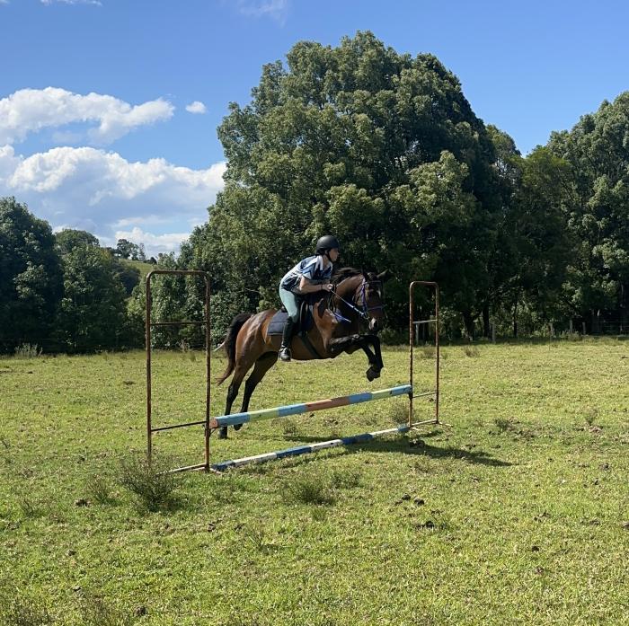 Quiet OTT allrounder. 