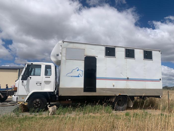 Isuzu 4 horse truck