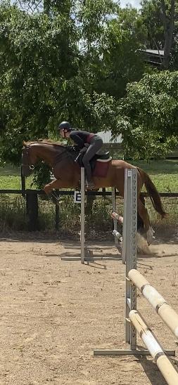Eventing Prospect