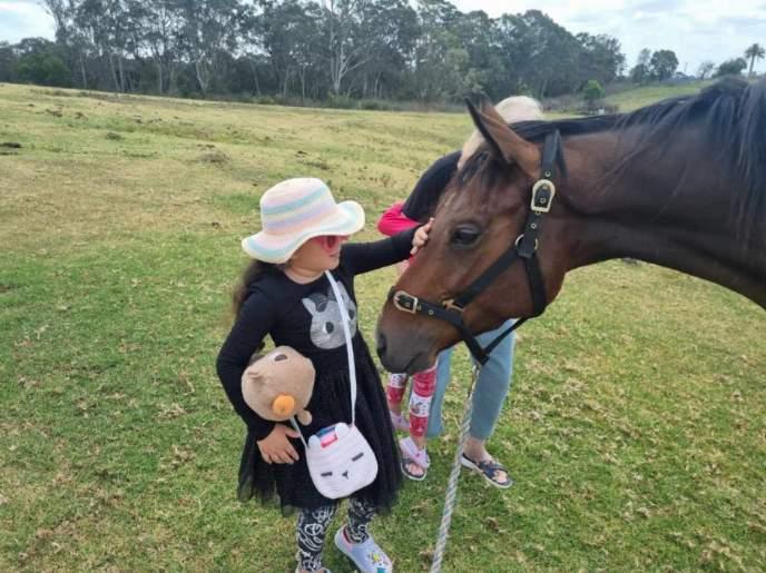 3 year old Gelding.