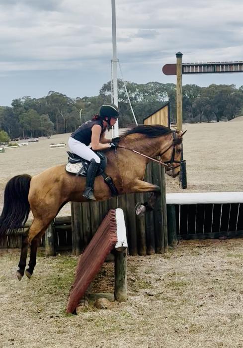 OUTSTANDING EVENTING MARE WITH CUSTOM JUMP SADDLE