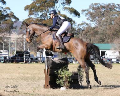 bookie denman water fence.jpg