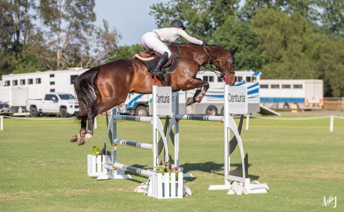 Talented Scopey Brave Jumper