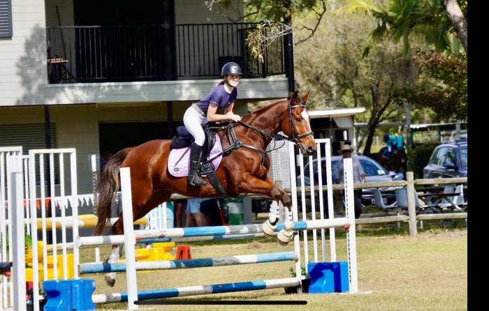 Safe Showjumping schoolmaster