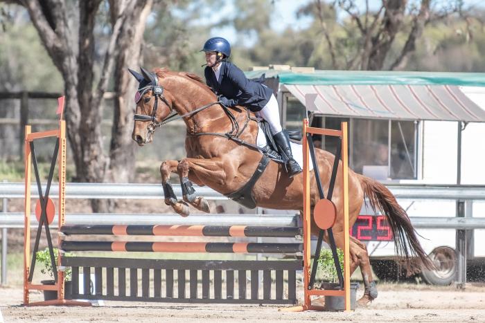 Lovely Type, Big and Talented Eventer/SJ Gelding