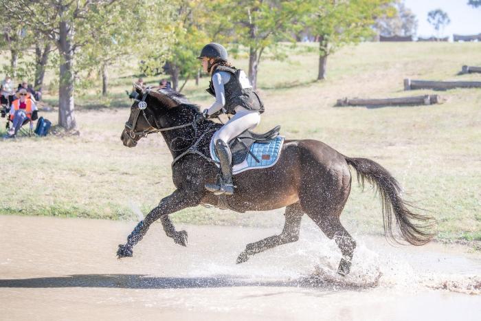 Schoolmaster Eventer/Pony Clubber
