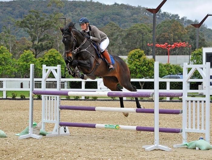 Competitive 115cm jumper 