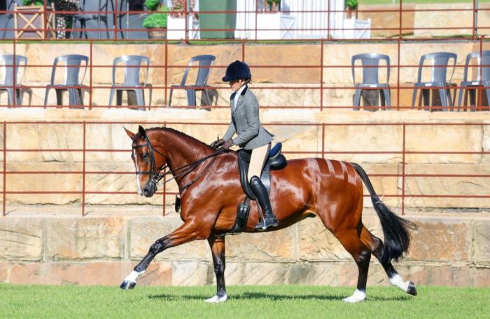 LARGE SHOW HUNTER HACK