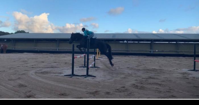 He’s an all-rounder TB