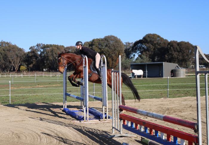 Ultimate Mums horse