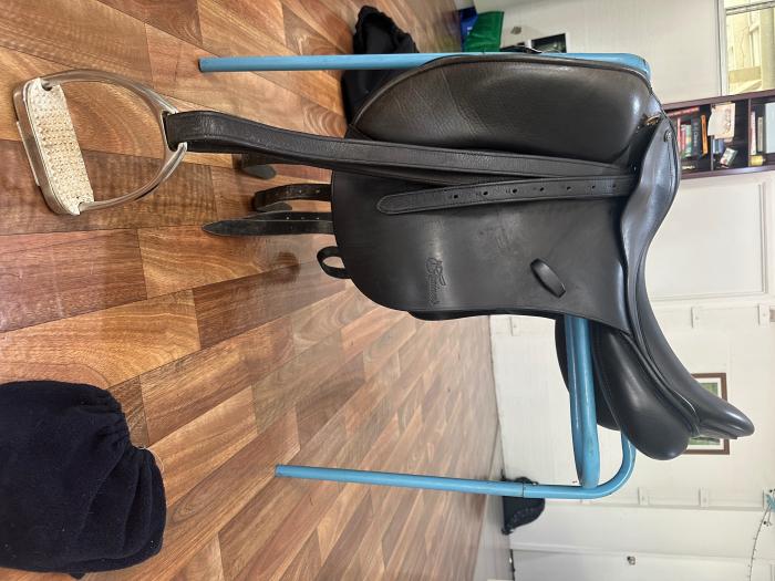 Jessica Trainers dressage