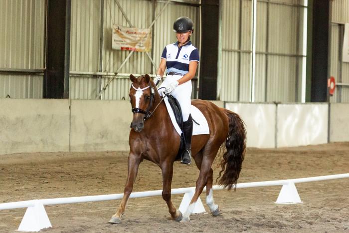 INTERSCHOOLS PC RELIABLE GELDING