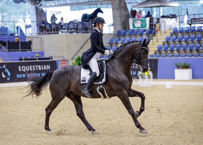 Dream Grand Prix Schoolmaster